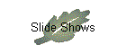 Slide Shows